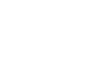 Studio SD.S